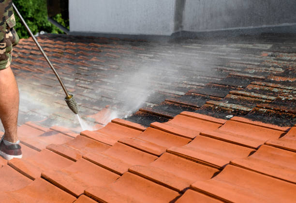 Best Roof Pressure Washing  in Ocoee, FL
